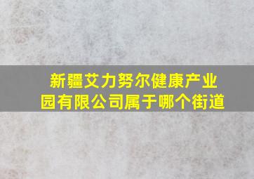 新疆艾力努尔健康产业园有限公司属于哪个街道