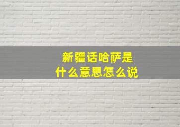 新疆话哈萨是什么意思怎么说