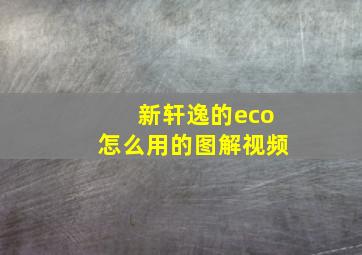 新轩逸的eco怎么用的图解视频