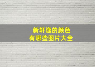 新轩逸的颜色有哪些图片大全