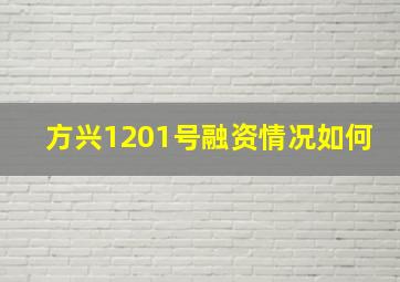 方兴1201号融资情况如何