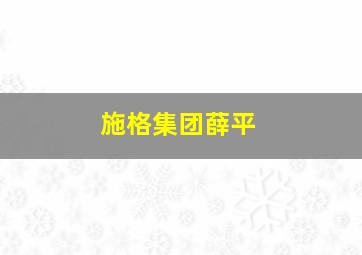 施格集团薛平