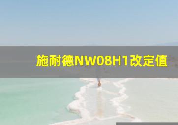 施耐德NW08H1改定值