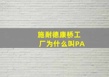 施耐德康桥工厂为什么叫PA