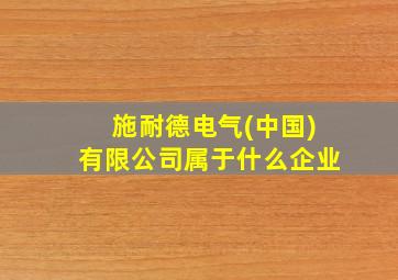 施耐德电气(中国)有限公司属于什么企业