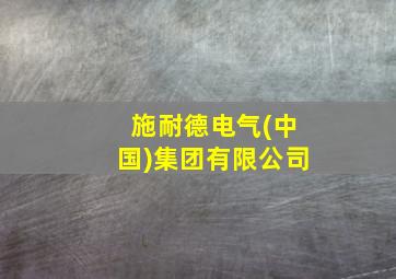 施耐德电气(中国)集团有限公司