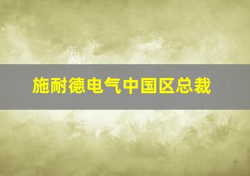 施耐德电气中国区总裁