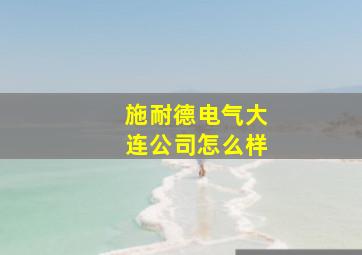 施耐德电气大连公司怎么样