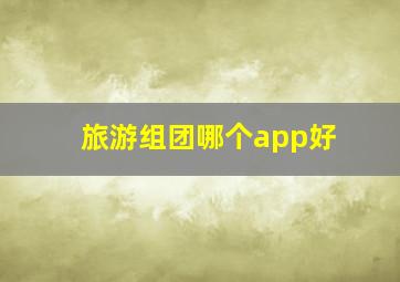 旅游组团哪个app好