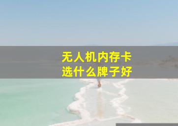 无人机内存卡选什么牌子好