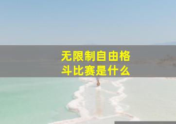 无限制自由格斗比赛是什么