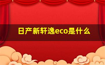 日产新轩逸eco是什么