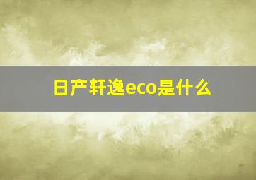 日产轩逸eco是什么