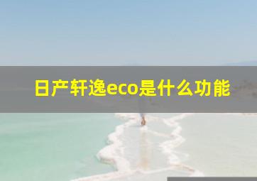 日产轩逸eco是什么功能