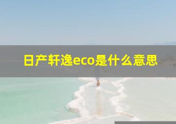 日产轩逸eco是什么意思