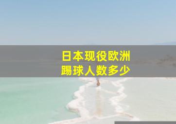 日本现役欧洲踢球人数多少