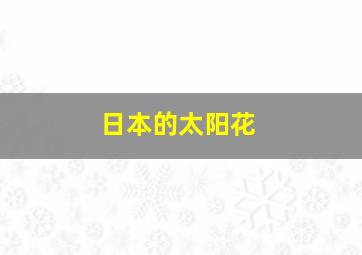 日本的太阳花