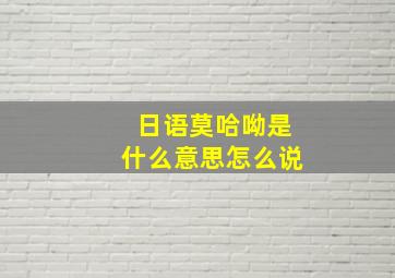 日语莫哈呦是什么意思怎么说