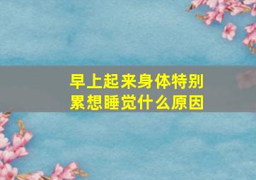 早上起来身体特别累想睡觉什么原因