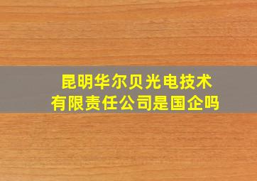 昆明华尔贝光电技术有限责任公司是国企吗