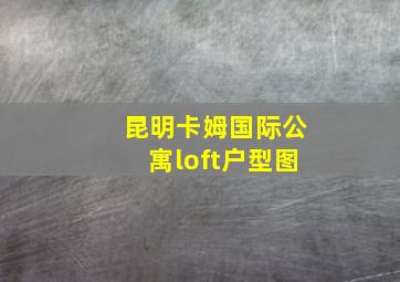 昆明卡姆国际公寓loft户型图