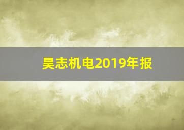 昊志机电2019年报