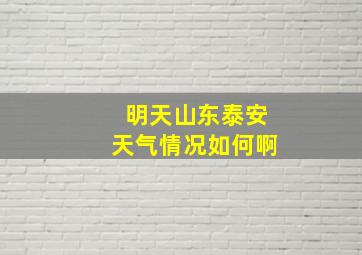 明天山东泰安天气情况如何啊