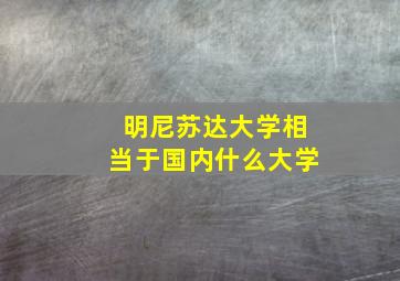 明尼苏达大学相当于国内什么大学