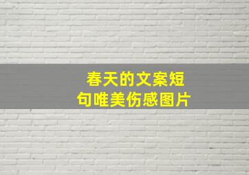 春天的文案短句唯美伤感图片