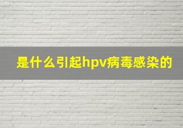 是什么引起hpv病毒感染的