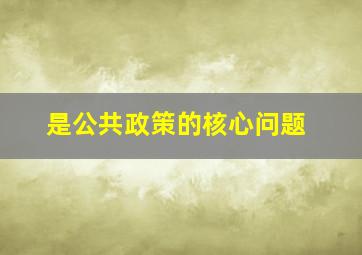 是公共政策的核心问题