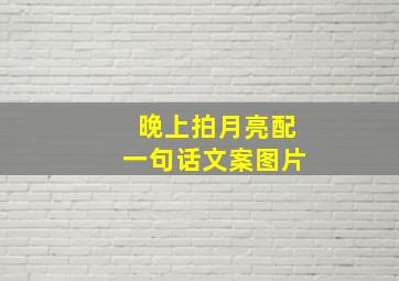 晚上拍月亮配一句话文案图片