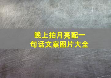 晚上拍月亮配一句话文案图片大全