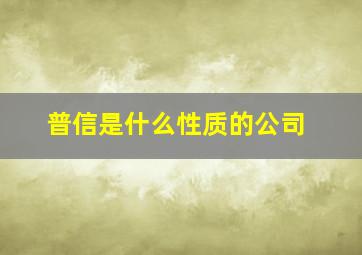 普信是什么性质的公司