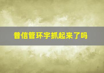 普信管环宇抓起来了吗