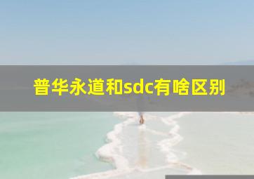 普华永道和sdc有啥区别