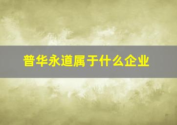 普华永道属于什么企业