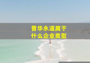 普华永道属于什么企业类型