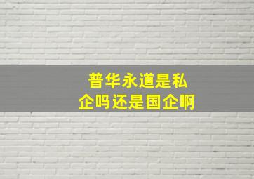 普华永道是私企吗还是国企啊