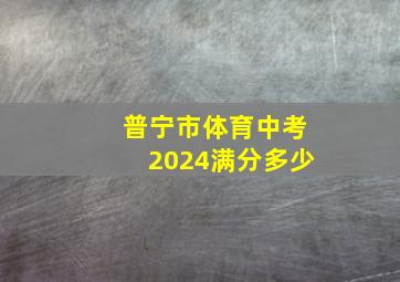 普宁市体育中考2024满分多少