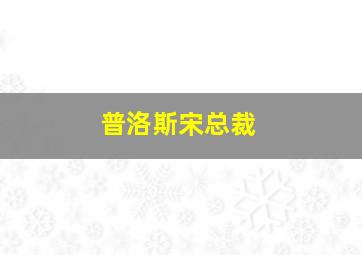 普洛斯宋总裁