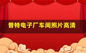 普特电子厂车间照片高清