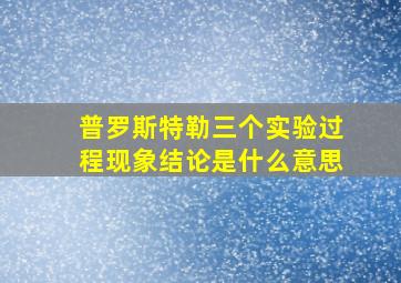 普罗斯特勒三个实验过程现象结论是什么意思