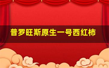 普罗旺斯原生一号西红柿