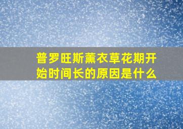 普罗旺斯薰衣草花期开始时间长的原因是什么