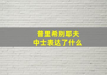 普里希别耶夫中士表达了什么