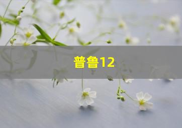 普鲁12