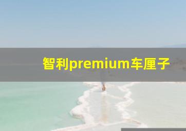 智利premium车厘子