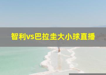 智利vs巴拉圭大小球直播