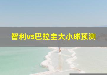 智利vs巴拉圭大小球预测